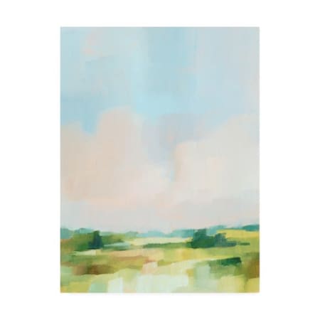 Ethan Harper 'Spring Skies II' Canvas Art,24x32